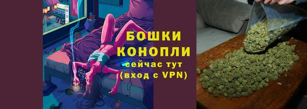 шишки Медногорск