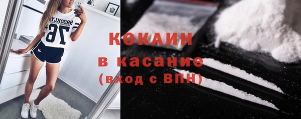 шишки Медногорск
