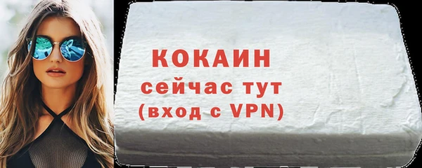 шишки Медногорск