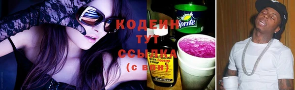 шишки Медногорск