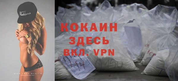 шишки Медногорск
