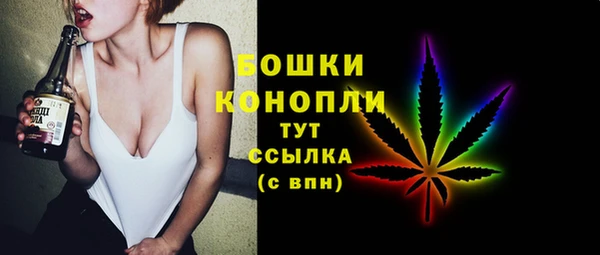 шишки Медногорск