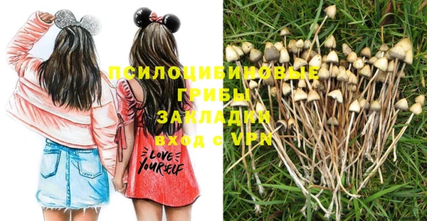 шишки Медногорск