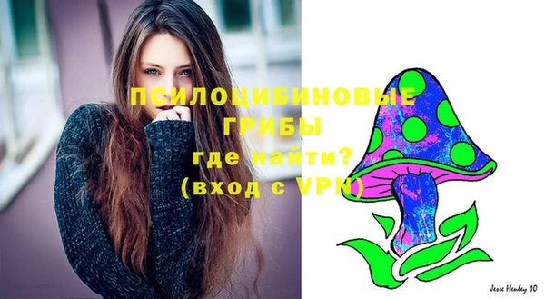 шишки Медногорск