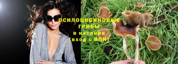 хмурый Медвежьегорск