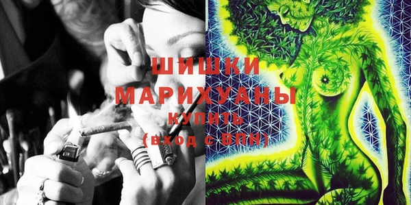 шишки Медногорск