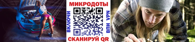 МЕГА как зайти  Починок  Псилоцибиновые грибы Psilocybine cubensis 